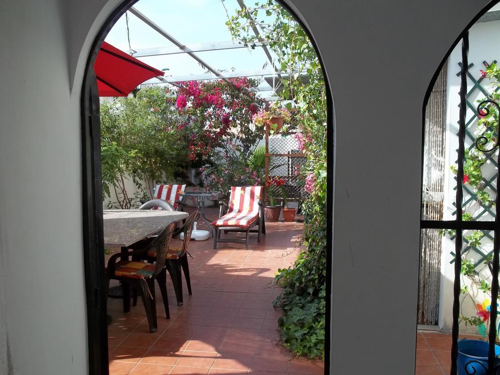 Madamme Curie Apartment Torrevieja Extérieur photo